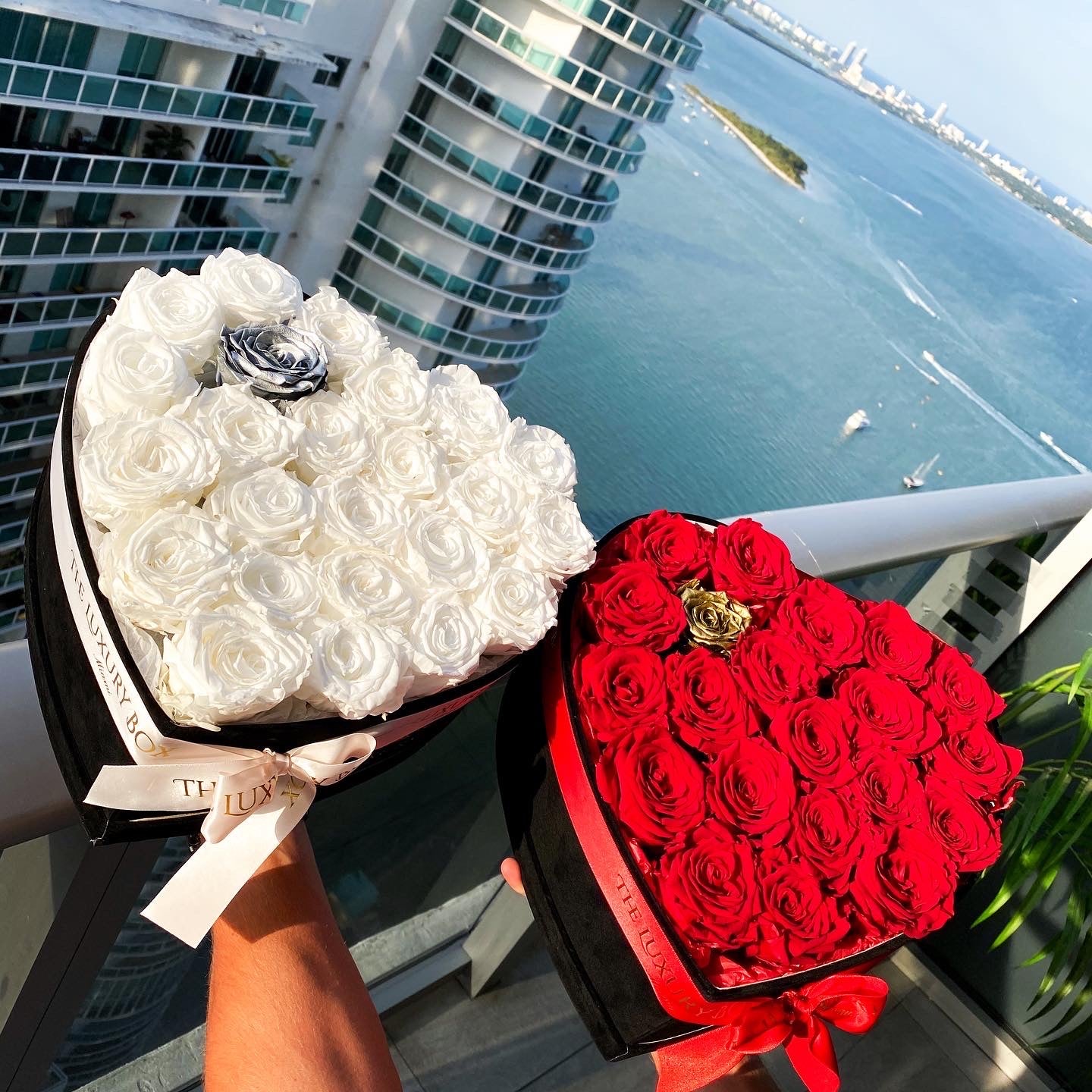 Large Heart Box with Eternal Roses ❤️🌹