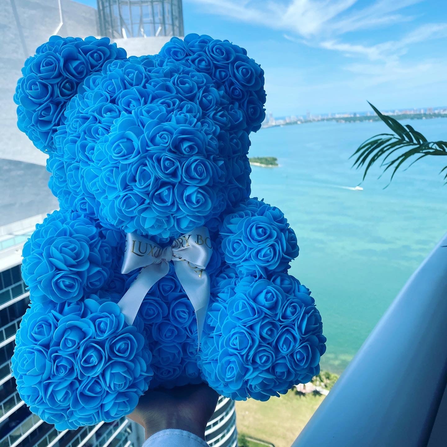 Rose Bear Baby Blue Color ๐ โ The Luxury Box Miami